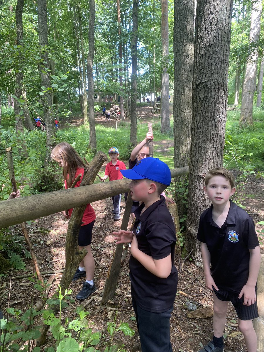 Den building 🪵🌳