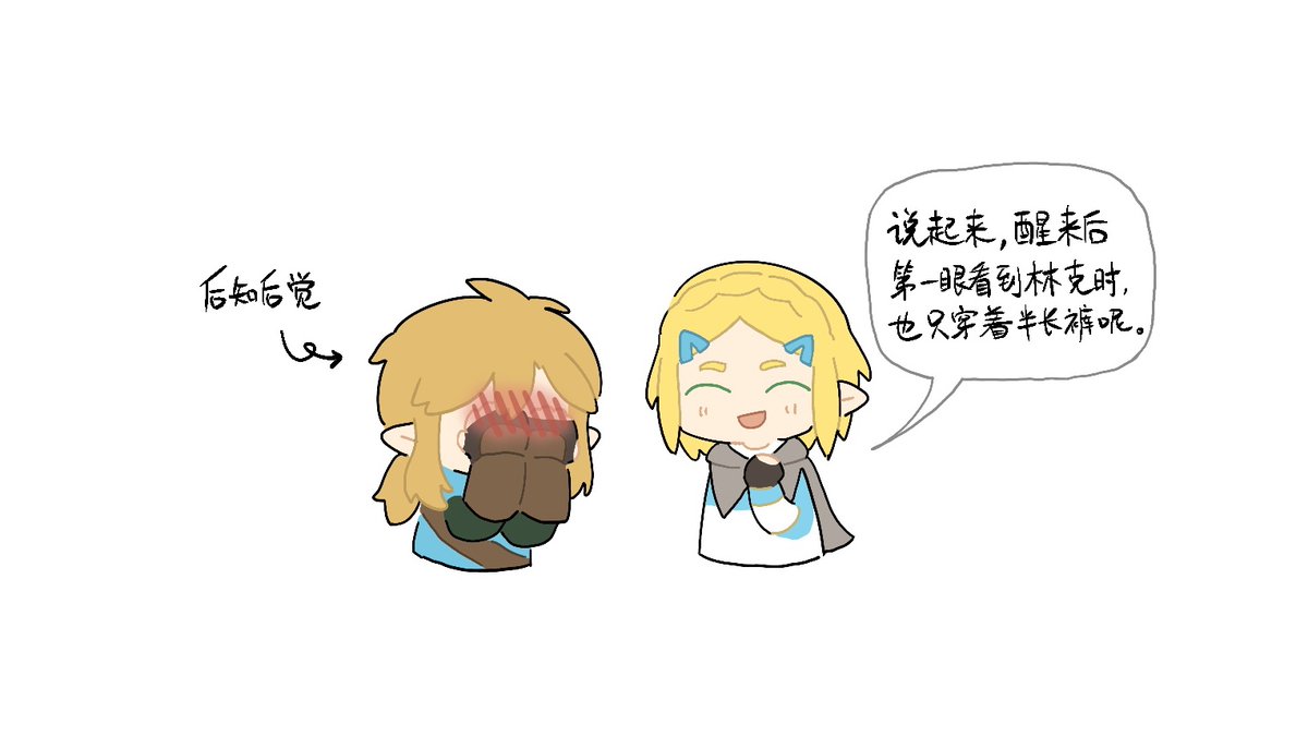 半长裤精神！亲爱的公主😊 #ゼルダの伝説 #ZeldaTearsOfKingdom #王国之泪