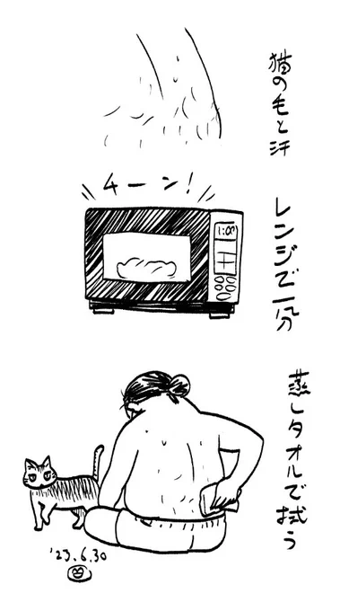 夏のHAIKU です