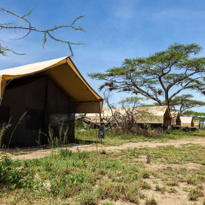 Make your next outdoor event unforgettable with our outdoor safari tents. 

Perfect for parties, festivals, and more. 

They're durable, versatile, and stylish. 

Contact us today to find out how we can help you.

#MadePossible #outdooradventure #safaritents