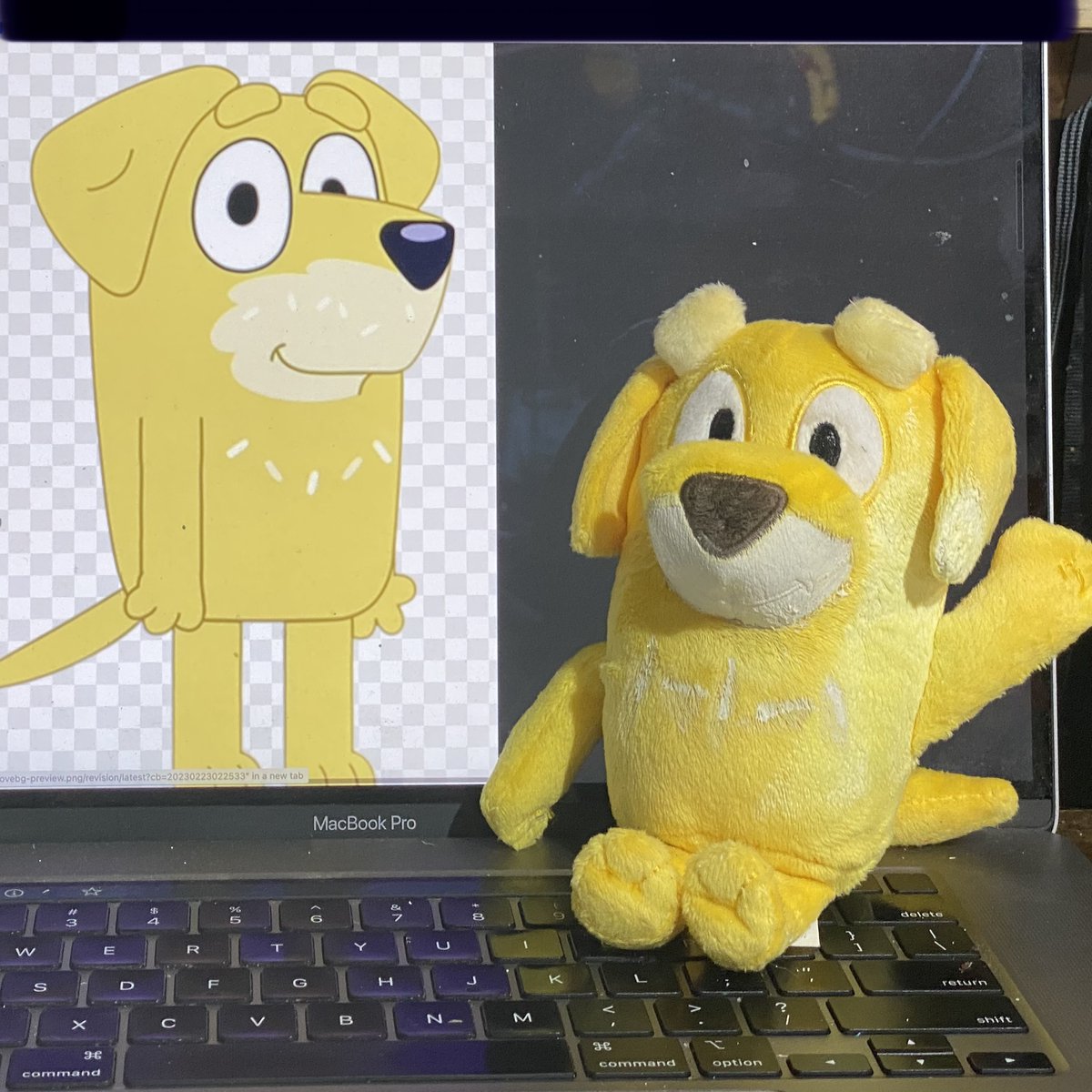 Potoroo's tweet photo. As an @OfficialBlueyTV fan, I want the official toys, plush and merch... but one character has been overlooked! Someone who is always in step with the Heelers, delivers great moments AND has 20 eps to date. So... I had to make my own! Look! It's Pat... Lucky's Dad! 1/7 #Bluey https://t.co/tDpt1ESkKp