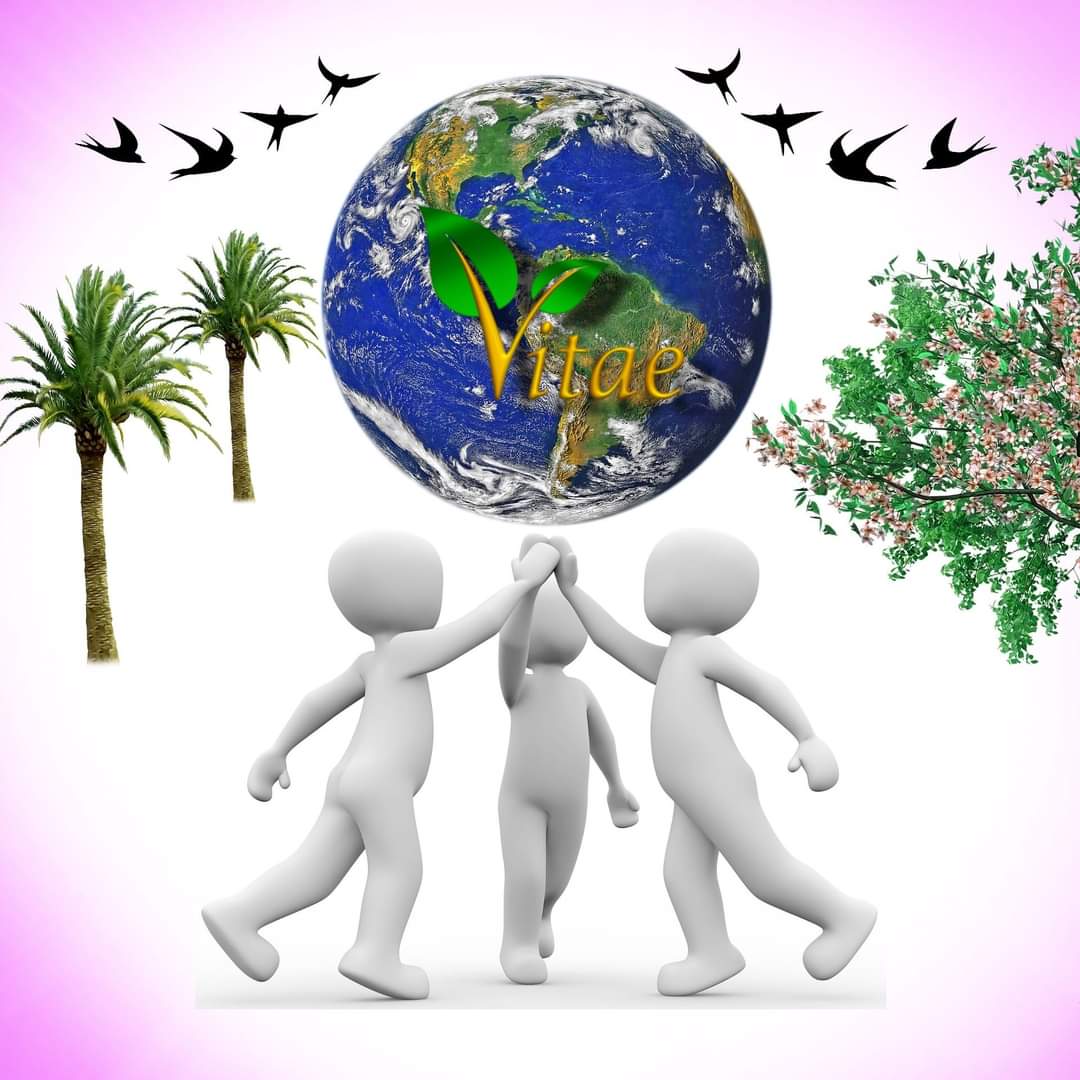 VITAE sẽ chiến thắng