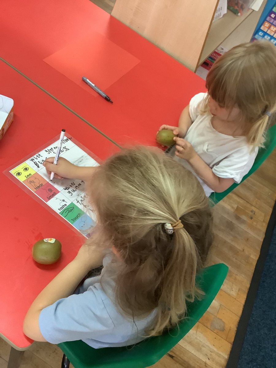 MissSpittlehous's tweet photo. Our class led our own rainbow talk session this week and moved around in small groups, exploring kiwis using our different senses and recording our group’s ideas in our own sheet. Fantastic rainbow talk FS2S! 🤩🥝 https://t.co/UcuRdREudg