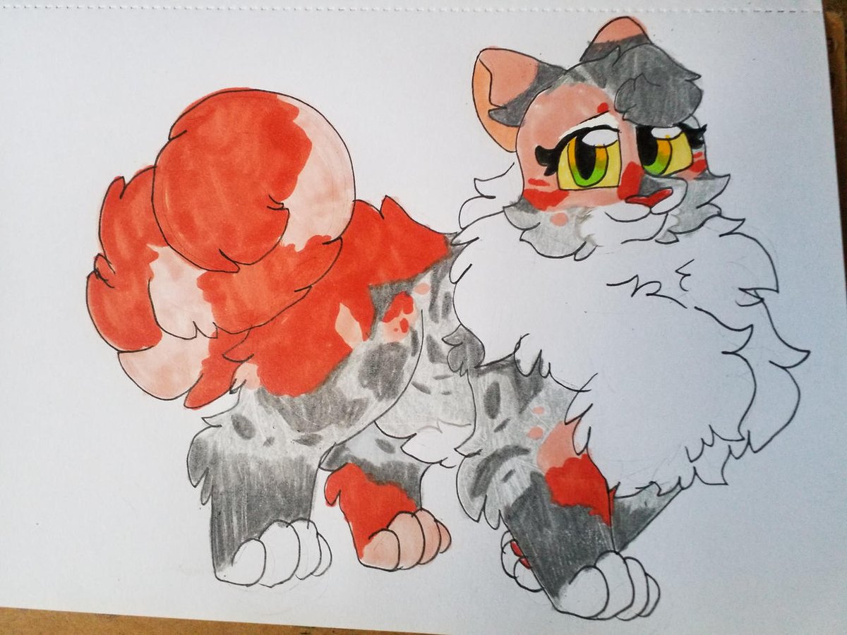 Kattren055's tweet photo. Rosetail's Redo design
#warriorcats #warriorcatsrosetail #rosetail #rosetailwarriors #rosetailwarriorcats https://t.co/CdhQ82lHz3