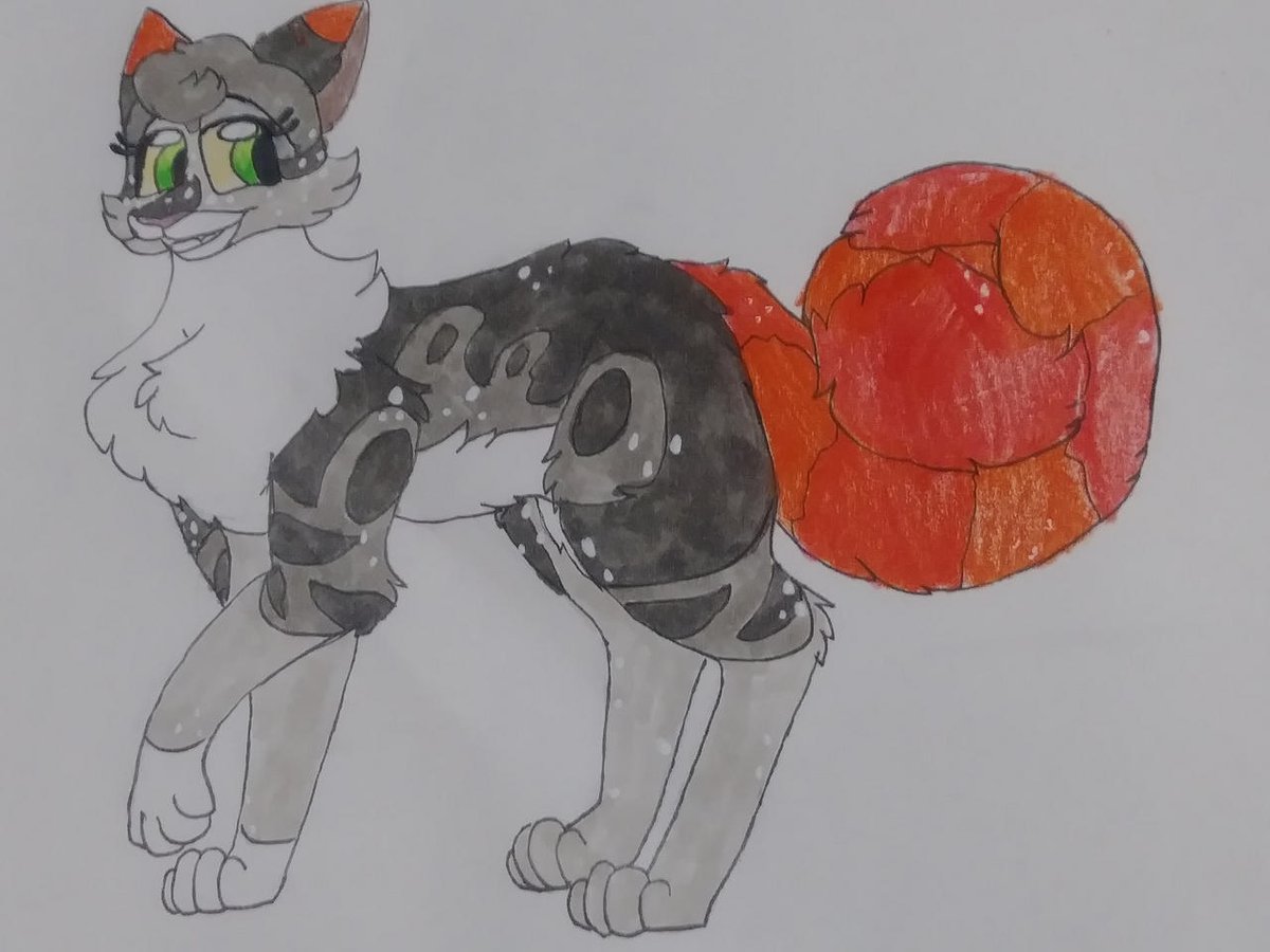 Kattren055's tweet photo. Rosetail's Redo design
#warriorcats #warriorcatsrosetail #rosetail #rosetailwarriors #rosetailwarriorcats https://t.co/CdhQ82lHz3