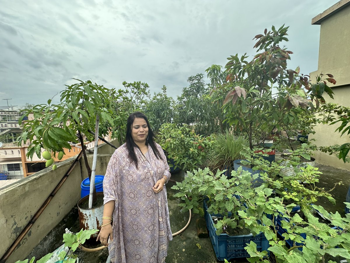 MpTuhin's tweet photo. I am in my roof garden https://t.co/LXF4H8PWDN