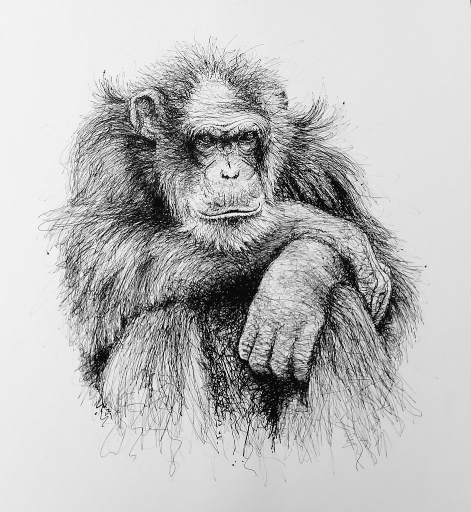Sue Hewson Artist tweet media