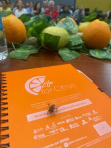 CefetraES's tweet photo. 🍊Junto con @AngloAmericanUK, participamos en la Conferencia de @LIFEforCitrus en Valencia, con @AsajaNacional @ava_asaja.
➡️Debatimos sobre la nutrición sostenible en los cultivos de #cítricos, para intentar ofrecer soluciones eficientes.
#POLY4
https://t.co/WV3BFKC5hl https://t.co/01bJ7cdtdm
