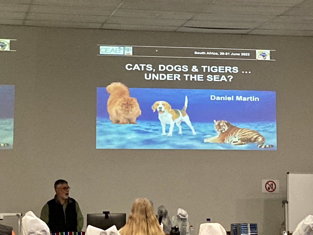 KatieMortimerJ1's tweet photo. First up on day two of the #IPC2014 Polychaete Identification Course is Daniel Martin talking not about Cats and dogs but symbiosis in polychaetes, including some amazing videos https://t.co/iedLjYV4FJ