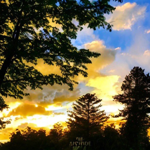 Raj Arumugam tweet media