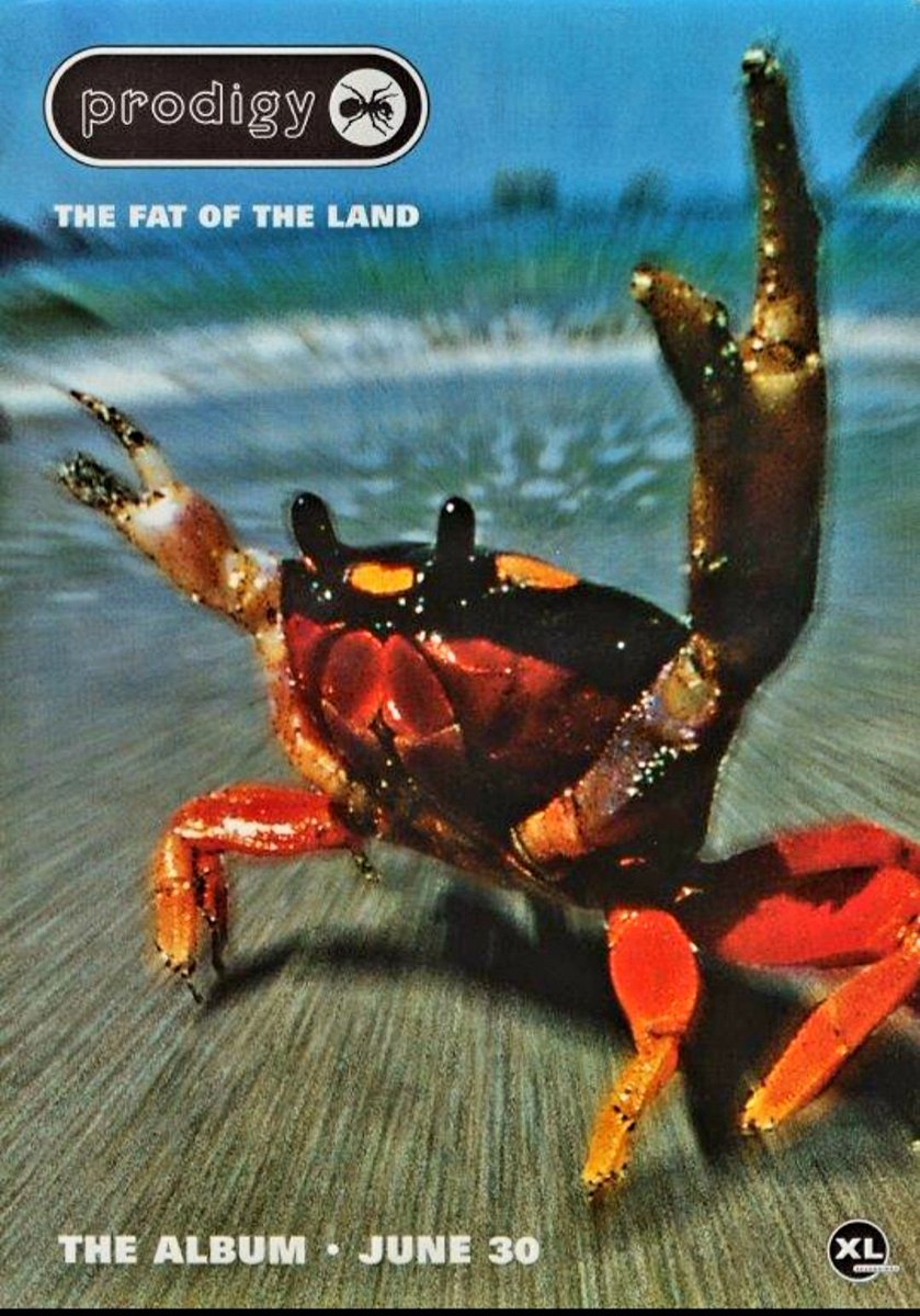 Shiiine On tweet media