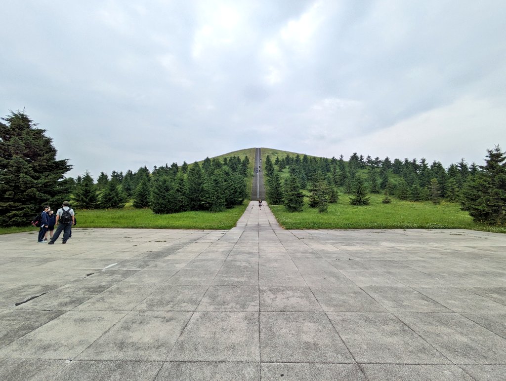 ぶたどら tweet media