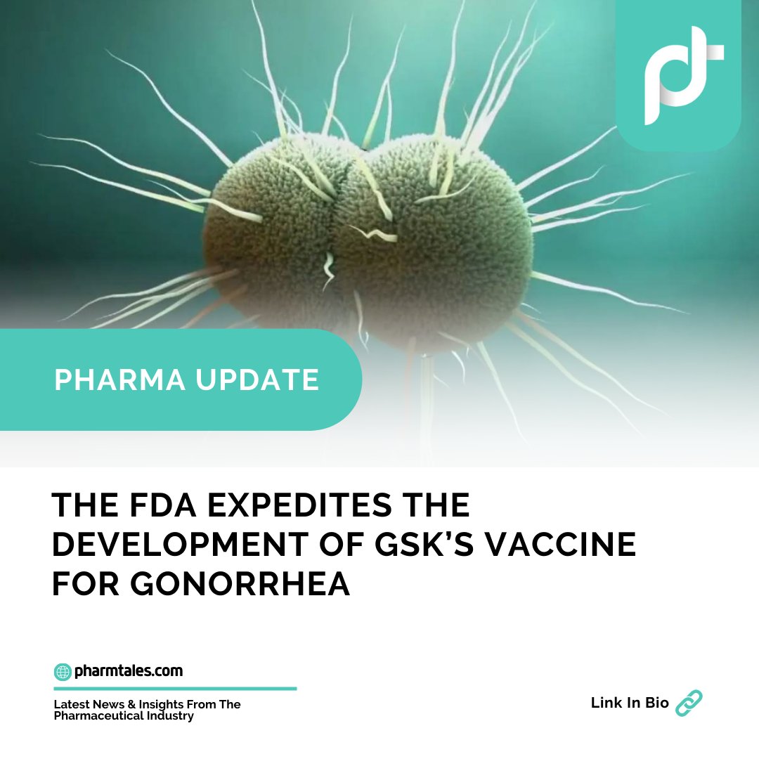 thepharmtales's tweet image. THE FDA EXPEDITES THE DEVELOPMENT OF GSK’S VACCINE FOR GONORRHEA
 Read more at our website link in bio!
.
.
.
#fasttrackdesignation #FDA #gonorrhea #GSK #vaccine #pharmaindustry #pharmanews #pharmaupdates #news #pharmtales