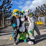 Photo by Brandon Lion (@BrandonBlueLion)