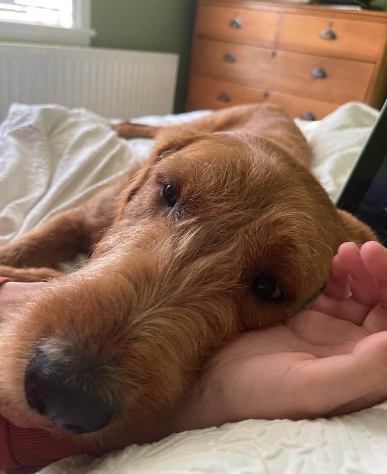 BLOCKCHAIN RECLAIM 🏆🏅 tweet media