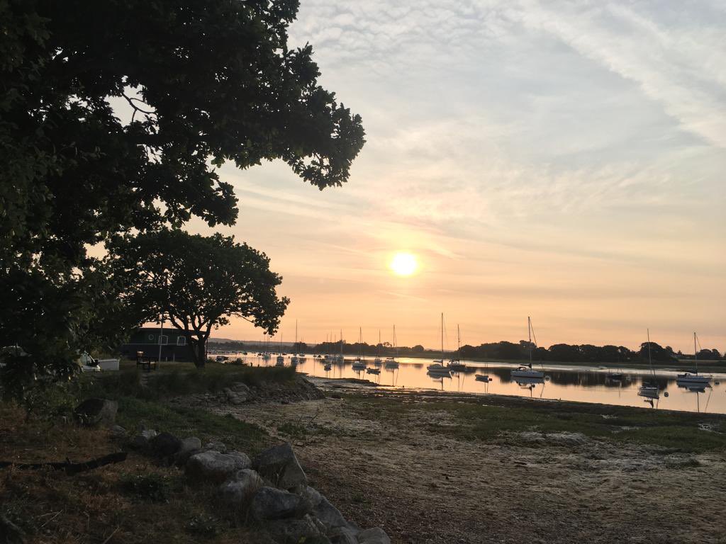 Jessie Younghusband School tweet media