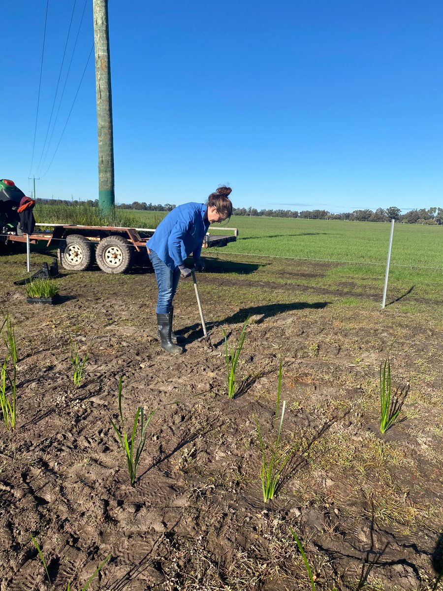 Bec Mackenzie - PHCC tweet media