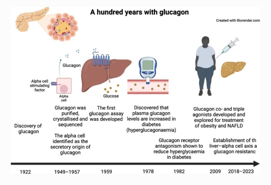 Diabetologia (@diabetologiajnl) on Twitter photo Review on 100 years of #glucagon, covering: -Its secretion and actions, -Its role in metabolic diseases, -Glucagon pharmacology. <a href="/nicwin98/">Nicolai J. Wewer Albrechtsen</a> #JensHolst <a href="/deanlab8/">Dr. Danielle Dean</a> <a href="/JCampbellLab/">Jonathan Campbell</a> #TriciaTan <a href="/Filip_Knop/">Filip K. Knop</a> <a href="/TimoMueller_IDO/">Timo Müller</a> tinyurl.com/48rv8ftf Review on 100 years of #glucagon, covering: -Its secretion and actions, -Its role in metabolic diseases, -Glucagon pharmacology. <a href="/nicwin98/">Nicolai J. Wewer Albrechtsen</a> #JensHolst <a href="/deanlab8/">Dr. Danielle Dean</a> <a href="/JCampbellLab/">Jonathan Campbell</a> #TriciaTan <a href="/Filip_Knop/">Filip K. Knop</a> <a href="/TimoMueller_IDO/">Timo Müller</a> tinyurl.com/48rv8ftf