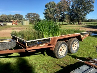 Bec Mackenzie - PHCC tweet media