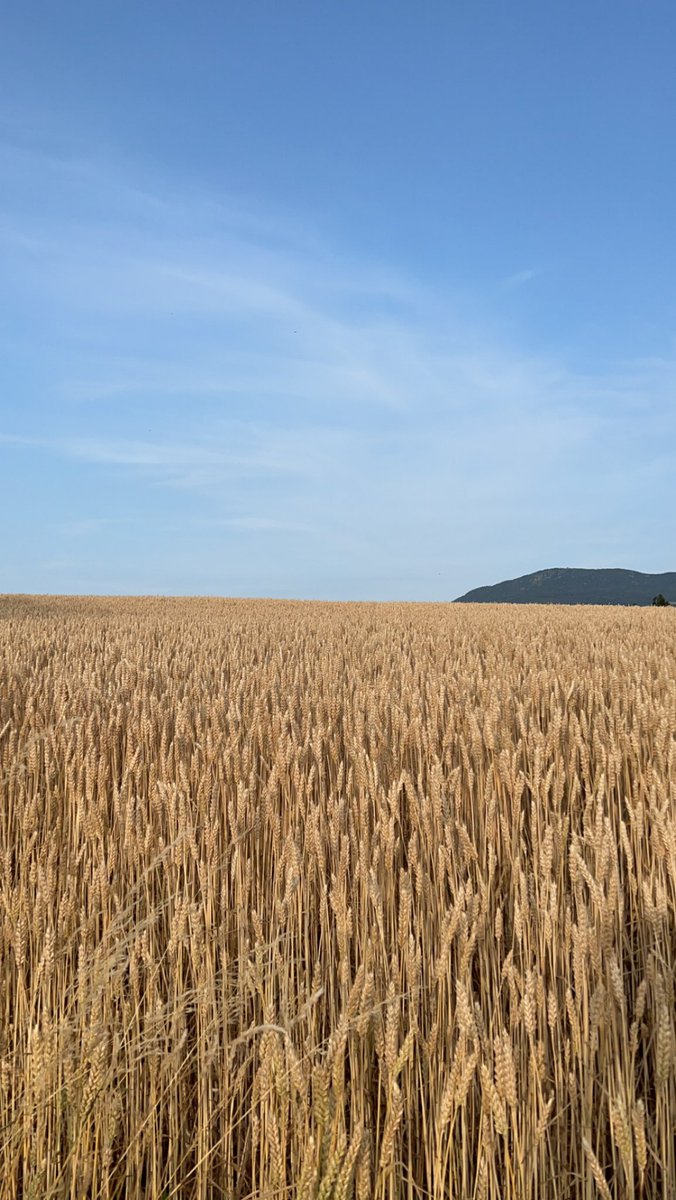 العيد في الريف 🌾🤍