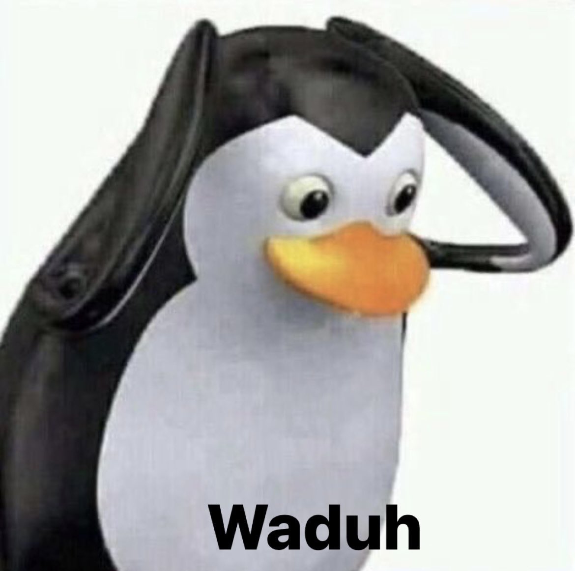 WKWKWKWKKWKWWK SI JAGAT ANJIR😭😭😭🫵🏻🫵🏻😭😭😭