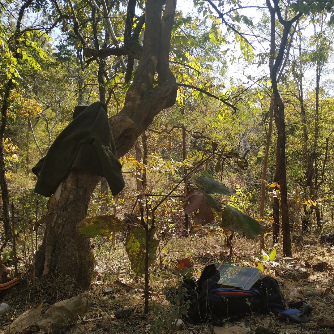darknlightzine's tweet photo. Ecologist Dr Pooja Choksi @Poojation writes for Dark 'n Light about how she cured her tree blindness when she was in the field.  Armed with Pradip Krishen’s ‘The Jungle Trees of Central India’ as her field guide, she stopped looking at trees as just 'data'. https://t.co/2b27GgZzGv