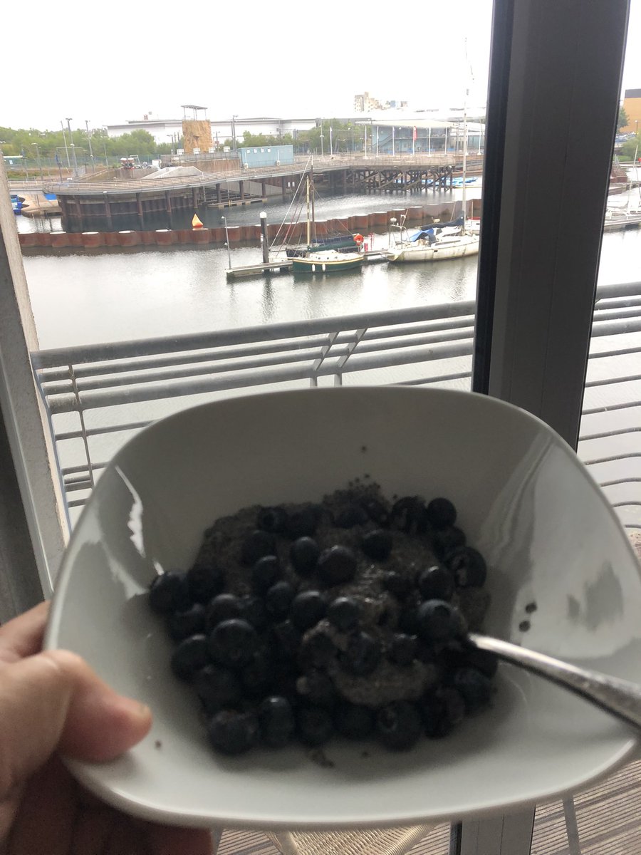 Chia seed pudding a hot one one day like porridge with blueberries 🤩 #breakfast #chiaseed #menshealth