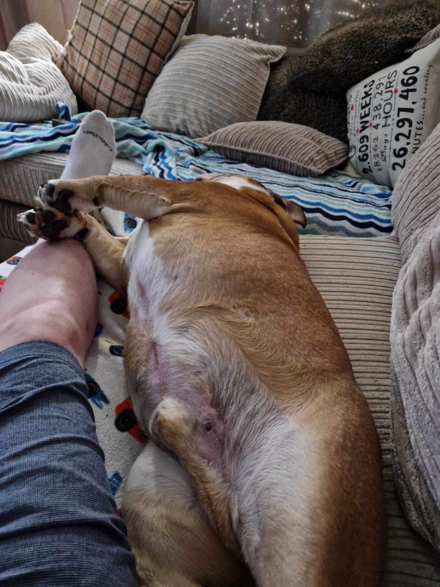 🦄 sarah mitchell tweet media