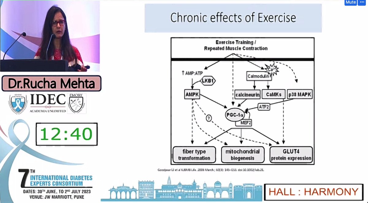 IdecPune's tweet photo. A glimpse of Dr. Rucha Mehta from the International Diabetes Consortium (IDEC) 2023

For ongoing academic updates visit: https://t.co/pn4eDPq8zq

#IDEC2023 #VirtualConference #GlobalDiabetesCommunity #KnowledgeSharing #HealthcareEvent https://t.co/0CzVlMxnL9