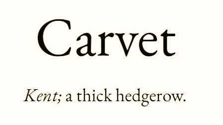 Cian McCarthy tweet media