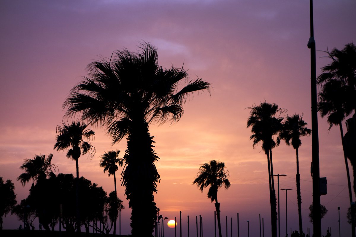 zsh01.eth tweet media