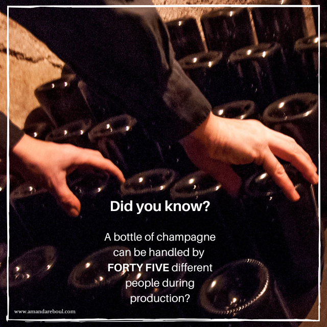 Did you know?

FORTY-FIVE different people can handle a bottle of champagne during production.
.
.
.
#fridayfunfact #champagne #champangeeducation #labourintensive #champagnefacts #champagneproduction