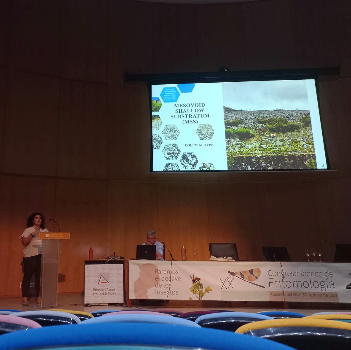 ReboleiraLab's tweet photo. Congratulations to our PhD student Rita Eusébio for wining the best oral communication at the XX Iberian Congress of Entomology 👏👏🥇💪 @CE3CResearch @FC_UL https://t.co/AfAgn5vUq3