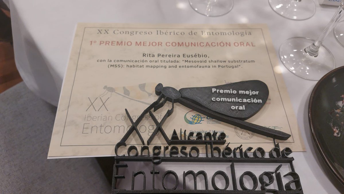 Congratulations to our PhD student Rita Eusébio for wining the best oral communication at the XX Iberian Congress of Entomology 👏👏🥇💪 <a href="/CE3CResearch/">CE3C</a> @FC_UL