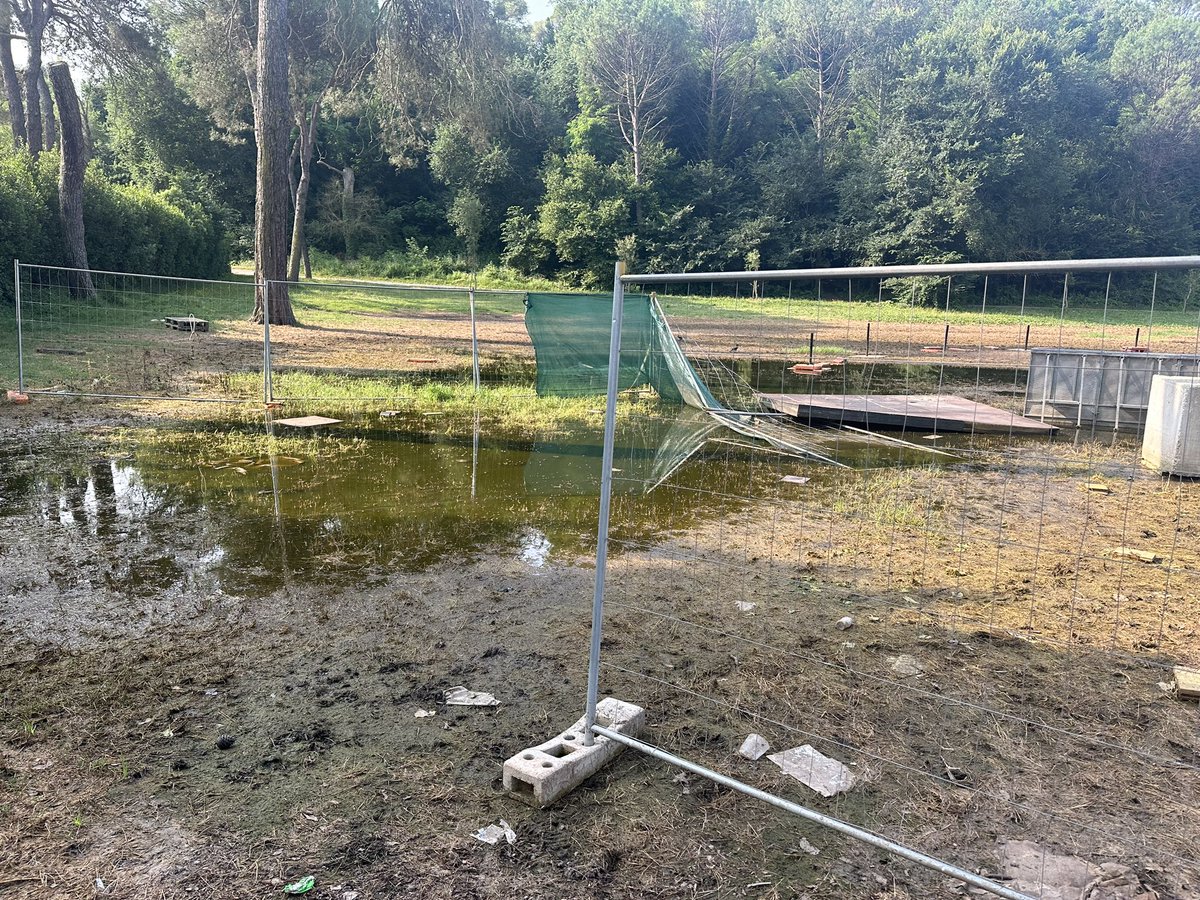 Roma. Villa Ada. Da un mese circa così. È ovunque lavori lasciati a metà, transenne. Possiamo fare qualcosa i dobbiamo subire anche questa? <a href="/Roma/">Roma</a> <a href="/romafaschifo/">Roma fa schifo</a>