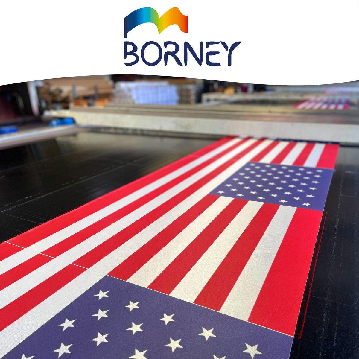 Borney Drapeaux tweet media