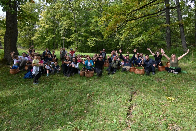 VisitPecka's tweet photo. Koliko ljekovitog i samoniklog bilja i gljiva poznajete🌱🍄??  Kako ih možete upotrebiti? 
✔️Koje su 💯 korisne ili jestive, a koje ⛔  https://t.co/GHbGRfsfrN https://t.co/phtHQxdqLL