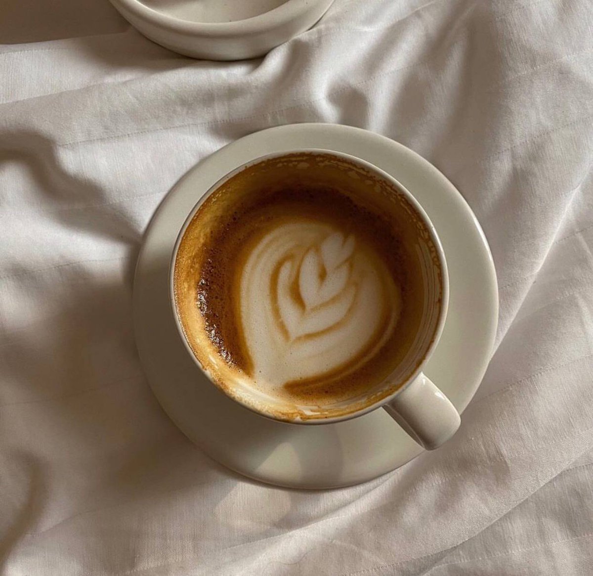 متنفس tweet media