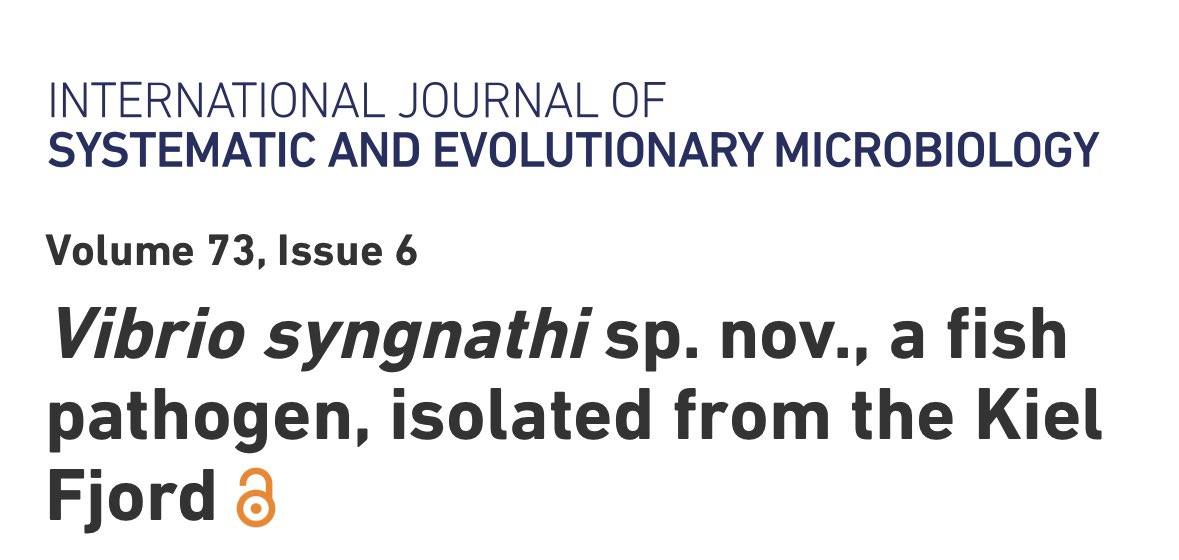MarEvol CAU Kiel (@marevolkiel) on Twitter photo Our most recent paper about a new Vibrio species is now published in IJSEM with @cynthiachibani <a href="/CCWendling/">Carolin Wendling </a> <a href="/O_LiviaRoth/">Olivia Roth</a> <a href="/Ohnrie/">Henry Goehlich</a> <a href="/ks_wagner/">Kim Wagner</a> & many more microbiologyresearch.org/content/journa… Our most recent paper about a new Vibrio species is now published in IJSEM with @cynthiachibani <a href="/CCWendling/">Carolin Wendling </a> <a href="/O_LiviaRoth/">Olivia Roth</a> <a href="/Ohnrie/">Henry Goehlich</a> <a href="/ks_wagner/">Kim Wagner</a> & many more microbiologyresearch.org/content/journa…