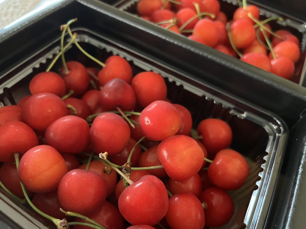 coucouTaec's tweet photo. Cherries arrived sent from parents on the very day I was too sick to leave bed 🥹🥹🥹luv them 🍒
Posting with my ipad doodle I did last year😅
#実家からの贈り物 #さくらんぼ #ipaddoodle #practiceincolours
https://t.co/oMz31PBHCX https://t.co/SLZliMlBNW