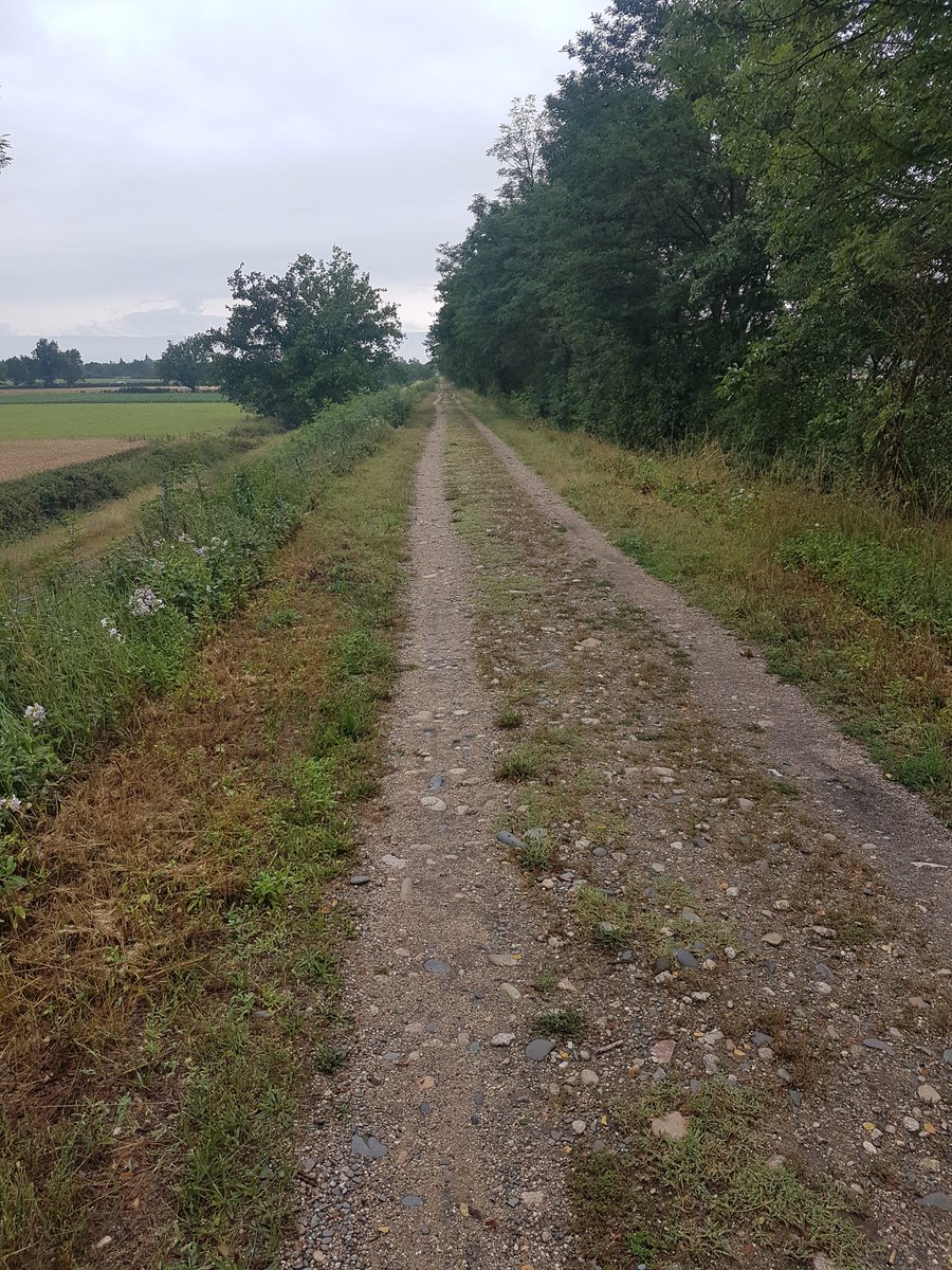 Je vois tout de suite la différence entre un itinéraire #véloroute "officiel" et celui que j'ai tracé 😅
On n'est plus du tout sur la même qualité de revêtement!