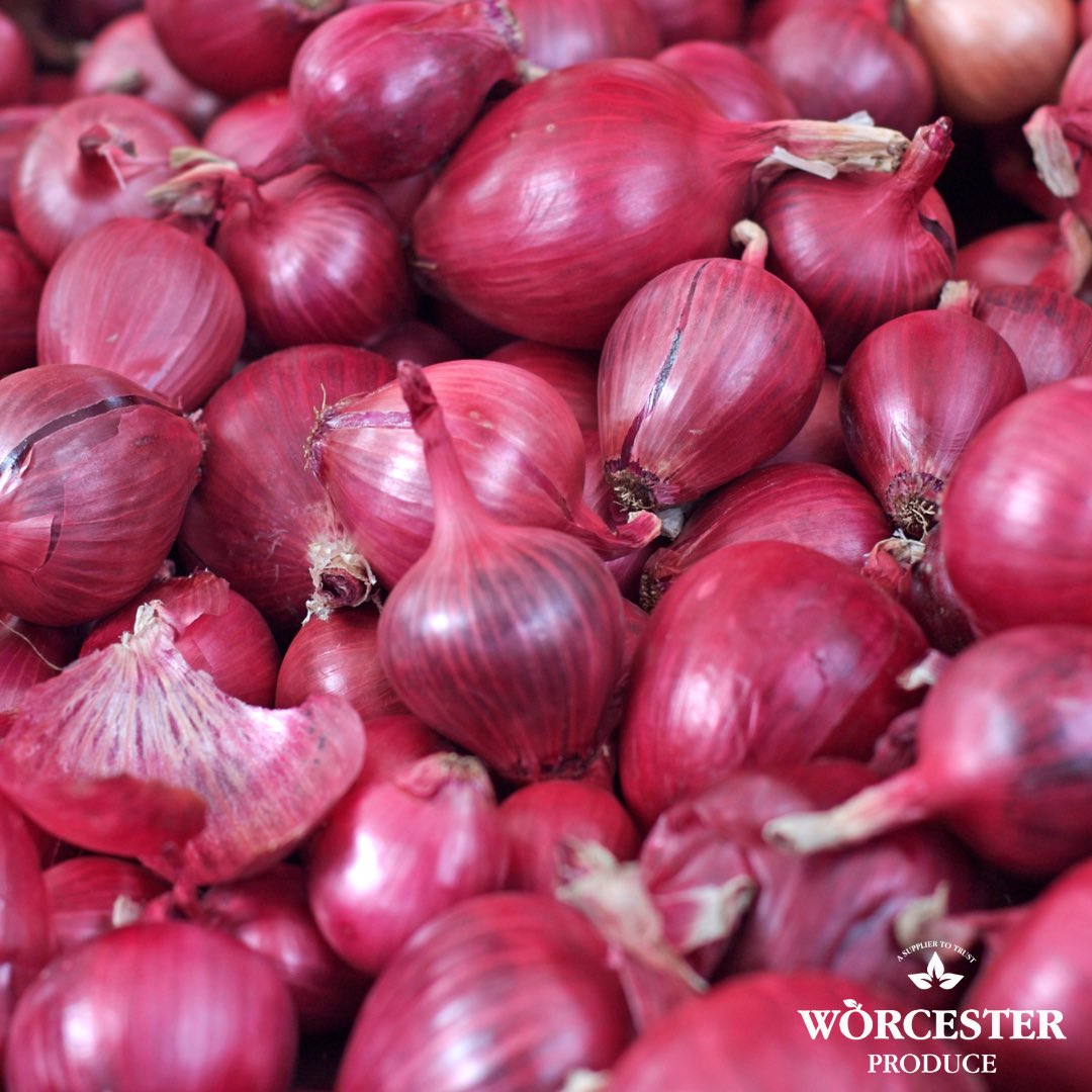 WorcesterProd's tweet image. Fresh Egyptian Red Onions arriving today! 🧅🇪🇬

#freshproduce #fruitandveg #produce #Midlands #catering #caterers #caterer #hotelindustry #restaurant #hospitalityindustry #hospitality #Worcestershire #worcester #vegetables