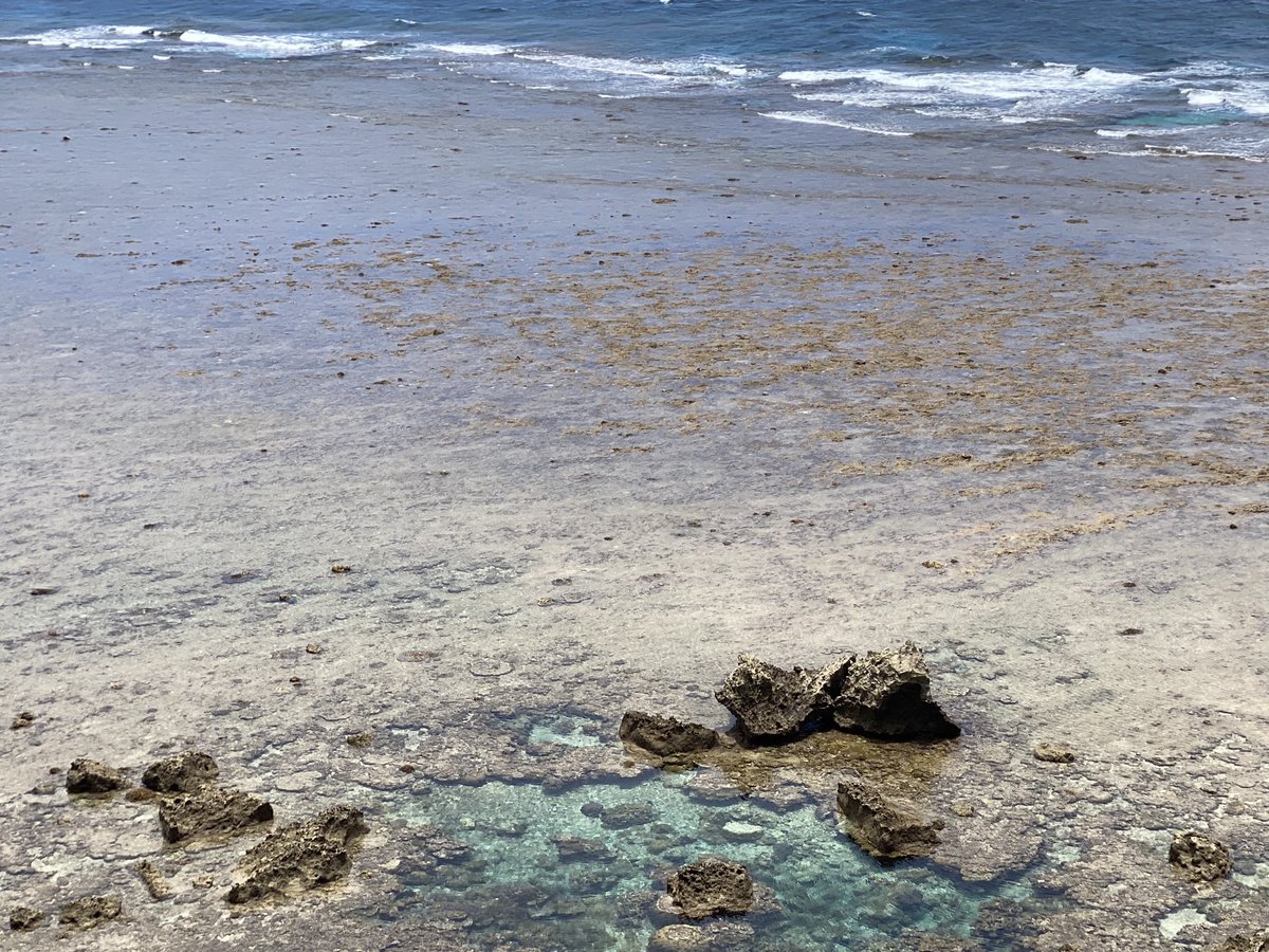 rainbow3695's tweet photo. 宮古島、のんびり🏝️
マンゴー🥭も甘くて美味しい😋

#宮古島#海#旅行#沖縄 https://t.co/nwanVDLuaU