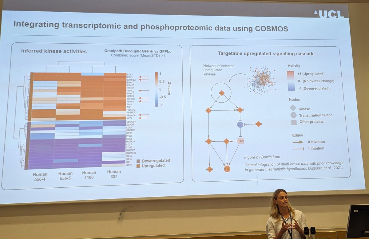 Silvia Surinova (@supersurinova) on Twitter photo Congratulations to <a href="/EmilyGaizley/">Emily Gaizley</a> for a fantastic first presentation <a href="/LPDGproteomics/">London Proteomics Discussion Group (LPDG)</a>. A very proud supervisor 😊 <a href="/uclcancer/">UCL Cancer Institute</a> Congratulations to <a href="/EmilyGaizley/">Emily Gaizley</a> for a fantastic first presentation <a href="/LPDGproteomics/">London Proteomics Discussion Group (LPDG)</a>. A very proud supervisor 😊 <a href="/uclcancer/">UCL Cancer Institute</a>