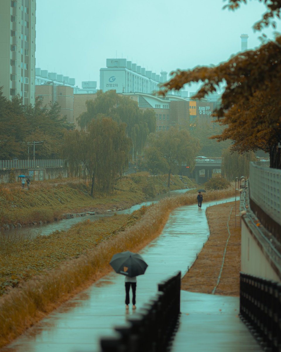 jongwoo_me's tweet photo. 장마의 시작. ☔️ https://t.co/ChNaEAdSMD