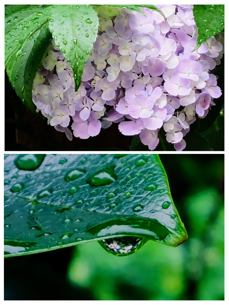 雨宿り