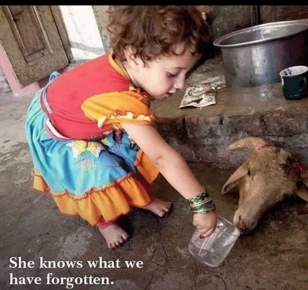 Anadi2011_'s tweet image. भावुक करती तस्वीर!
यह कैसा पर्व है....???
न शुद्धता न पवित्रता न व्रत न स्वच्छता.....?
केवल...#ह,,या ?

#DelhiUniversity दिल्ली मेट्रो #earthquake
#UniformCivilCode