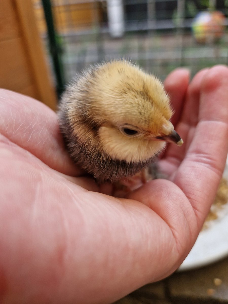 Floor - oh I'm gone tweet media