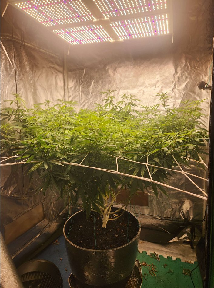 DILLHOLECOOZE tweet media