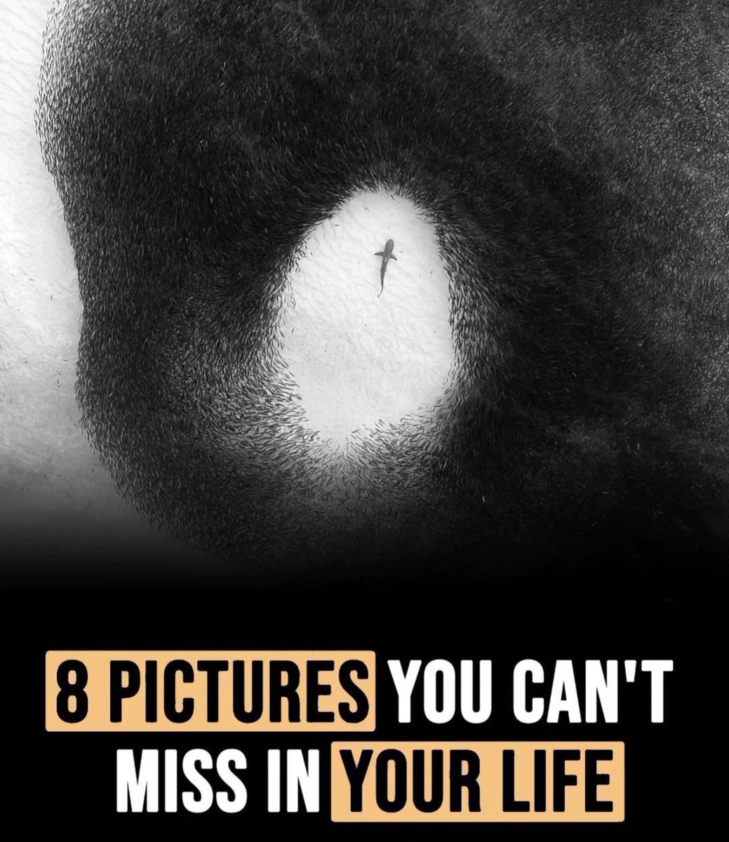 SeekWiser_'s tweet image. 8 PICTURES YOU CAN'T MISS IN YOUR LIFE...